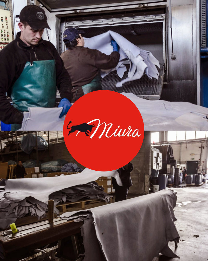 BELLINI Boston - Basil