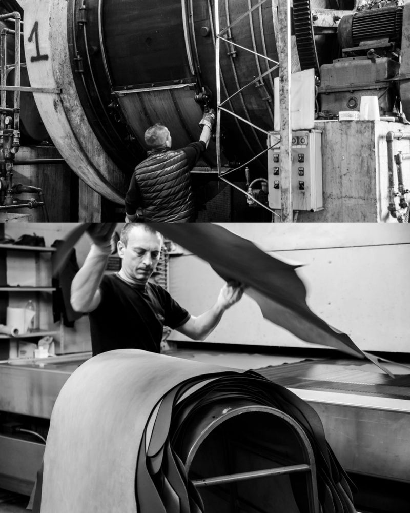 BELLINI Boston - Basil