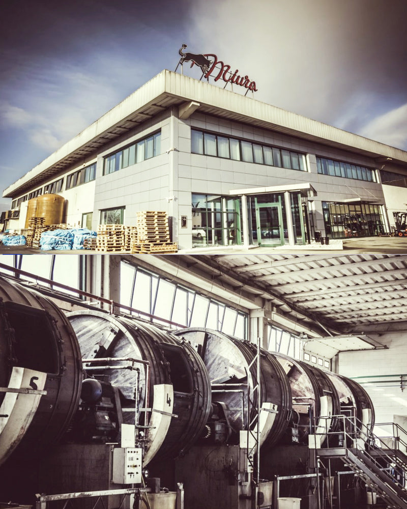 BELLINI Boston - Basil